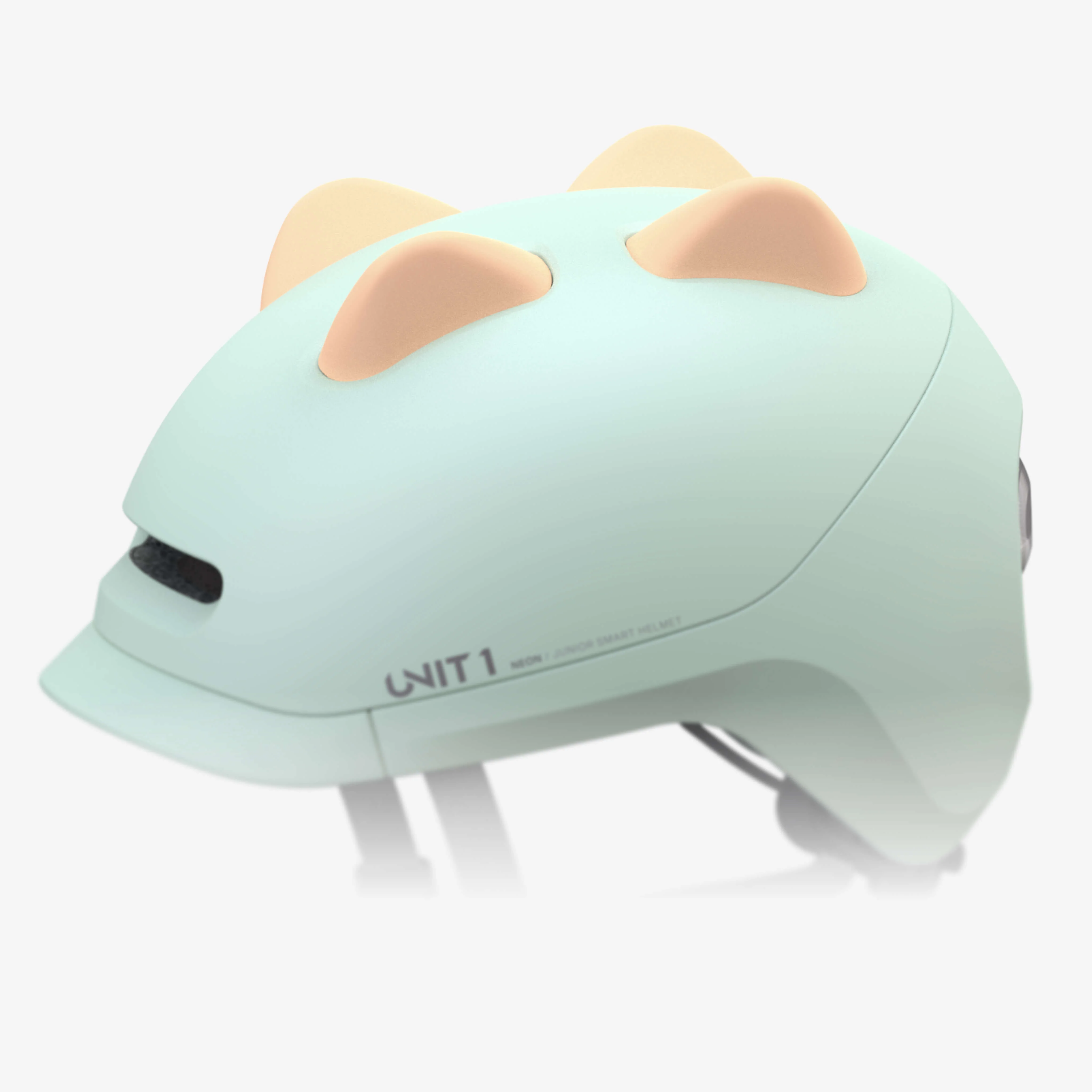 Smart Helmets
